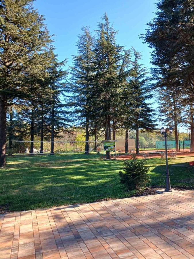 Roomsapartments Popcourt Pančevo Екстериор снимка